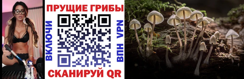 Галлюциногенные грибы прущие грибы  Азнакаево 