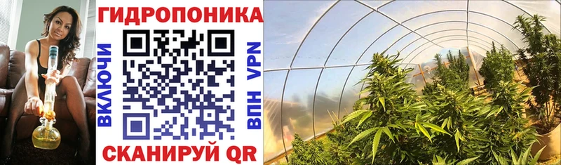 omg зеркало Азнакаево сайты даркнета формула Бошки марихуана LSD WEED